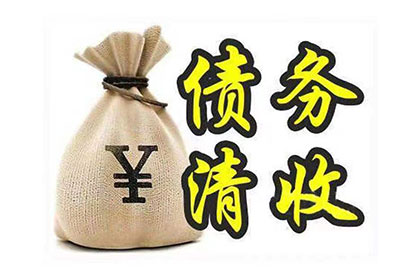 居巢追帐公司