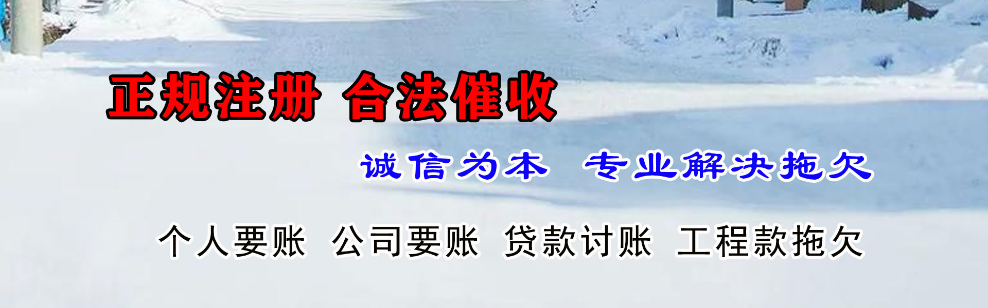 居巢追帐公司